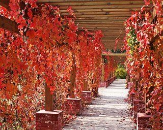 Beijing Jinyu Badaling Hot Spring Resort Xiaohetun Extérieur photo